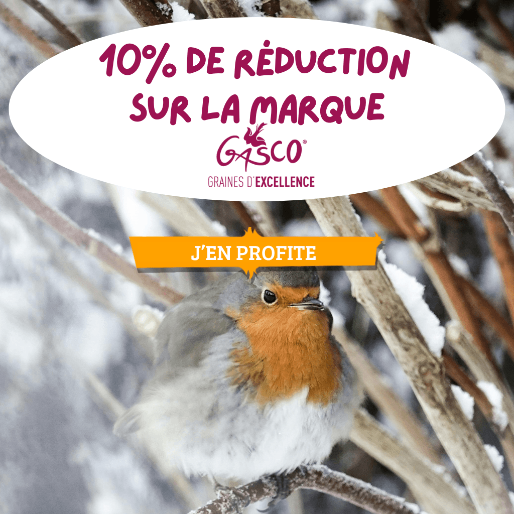 10% de réduction sur la marque : Gasco
