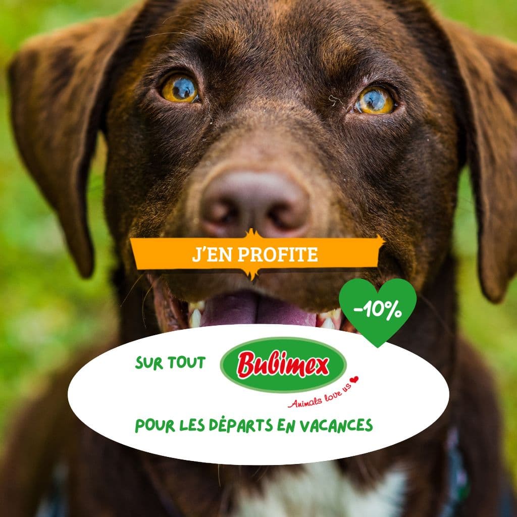 10% sur tout Bubimex pour les départs en vacances