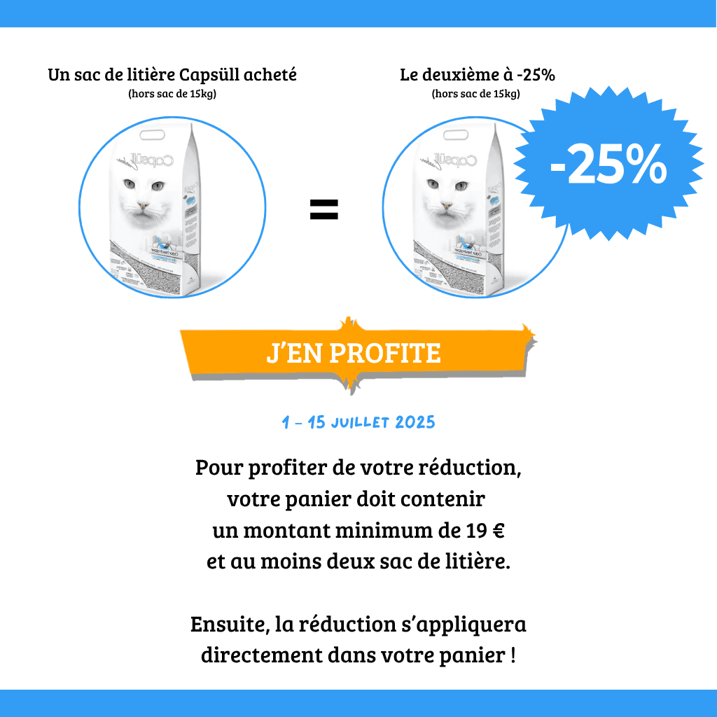 Litière chat