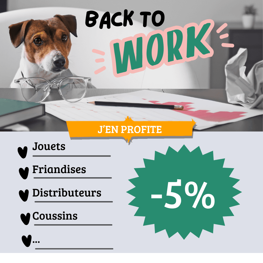 Back to work