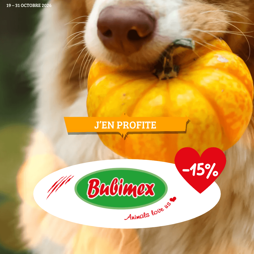 Bubimex