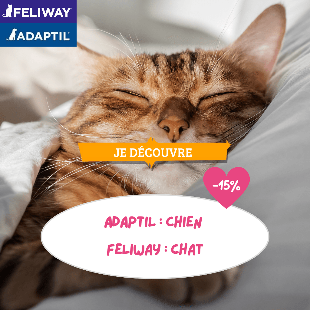 https://www.lafermedesanimaux.com/zen-pour-la-rentree-a-f-15