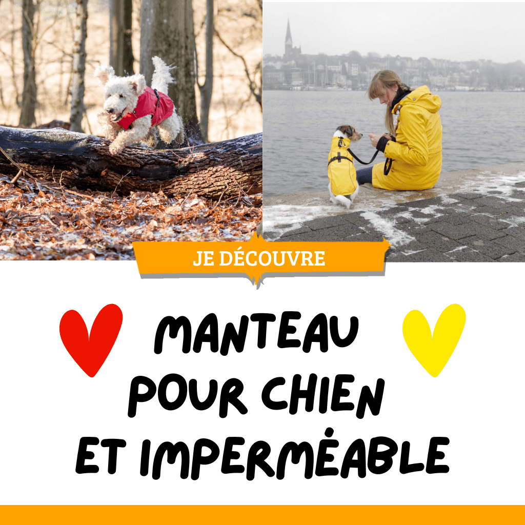 Manteau pour chien et imperméable