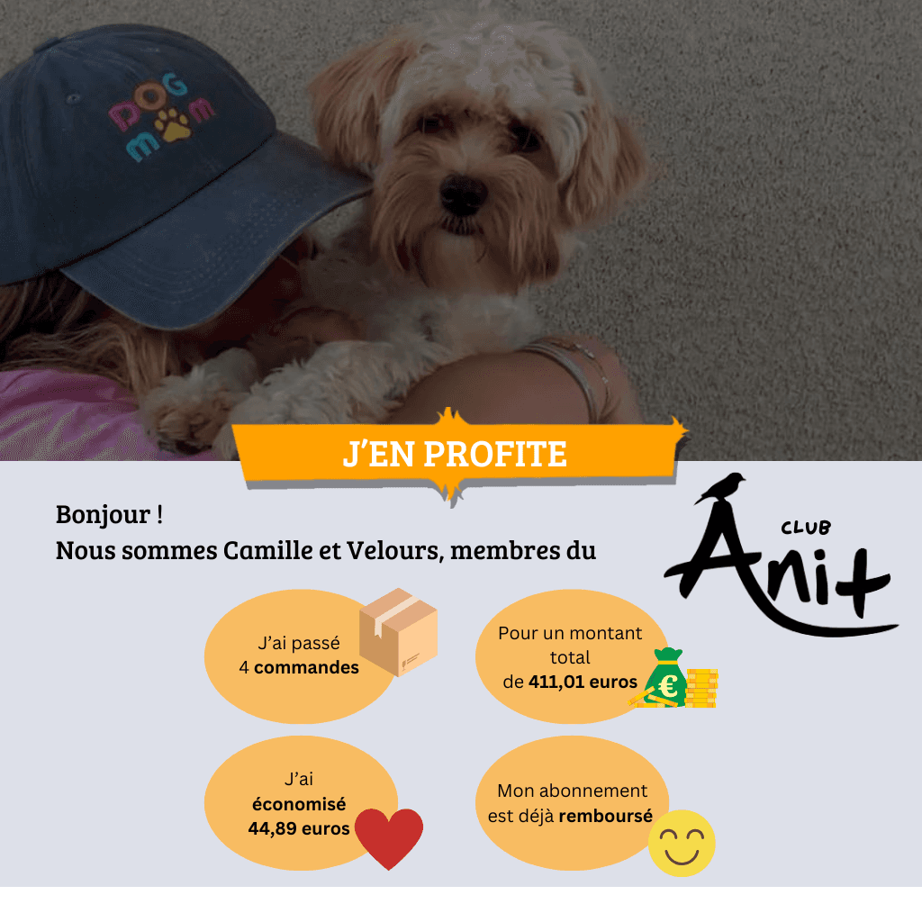 Ani +