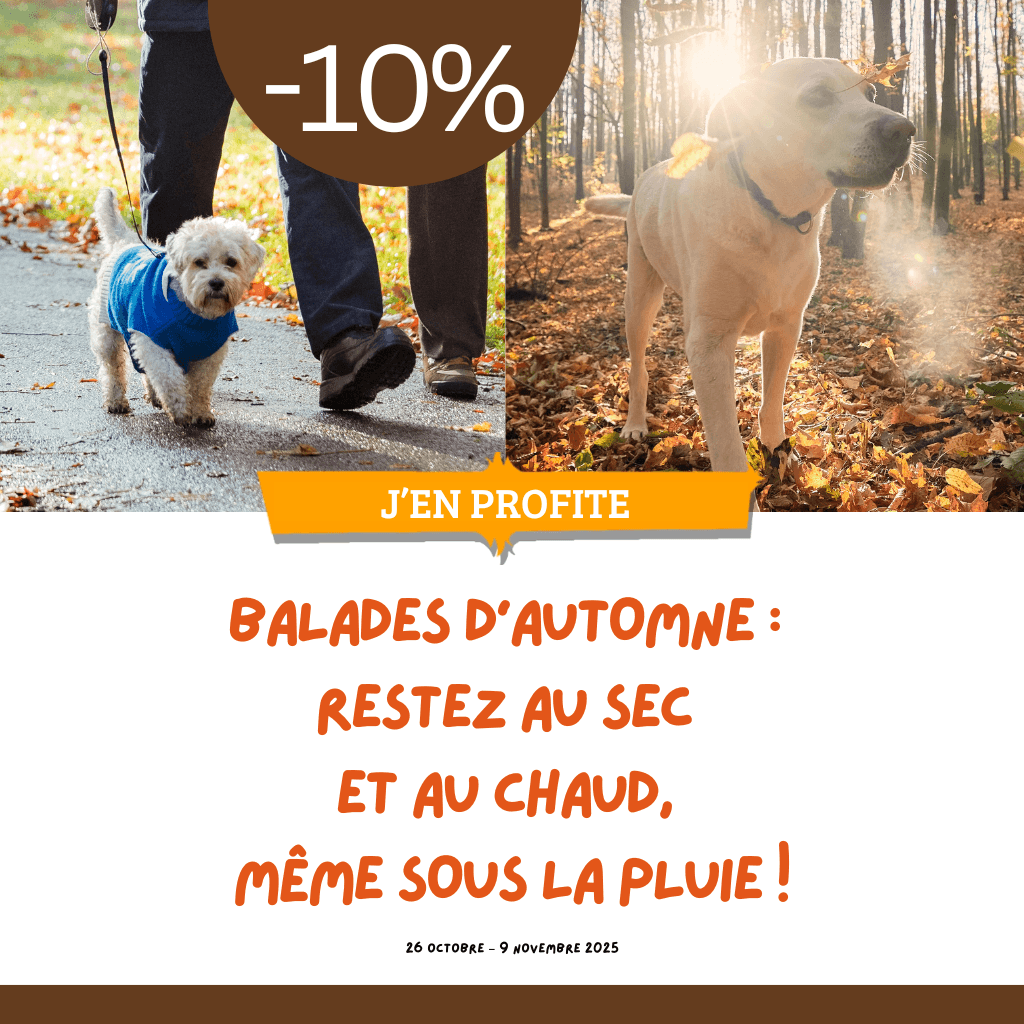 Balades d’automne :  restez au sec et au chaud,  même sous la pluie !