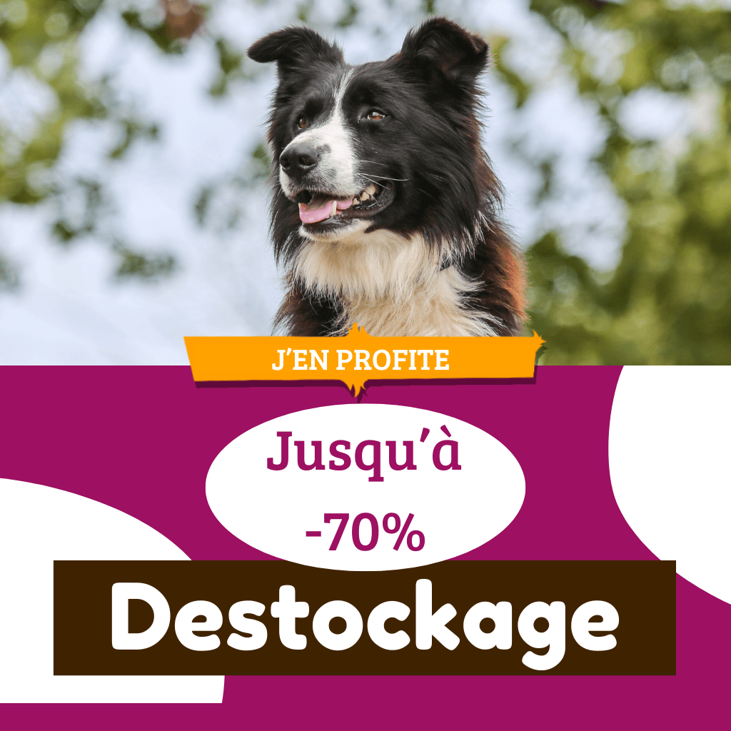 Destockage : Novembre 2025