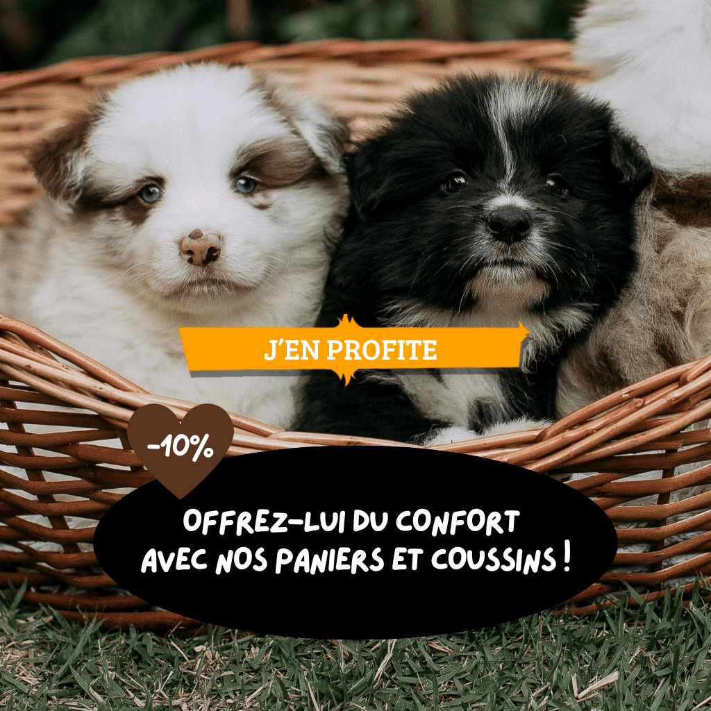 Offrez-lui du confort avec nos paniers et coussins, sélection à -10% !