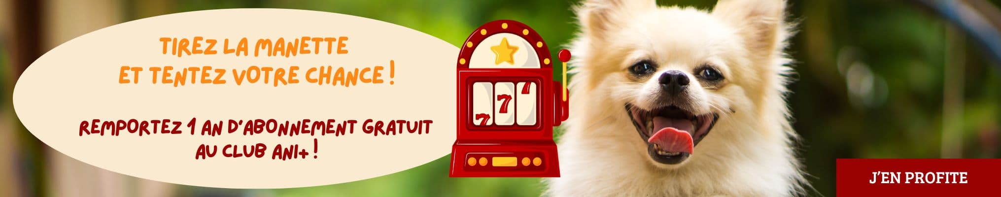 Tirez la manette  et tentez votre chance ! remportez 1 an d’abonnement gratuit  au Club Ani+ !