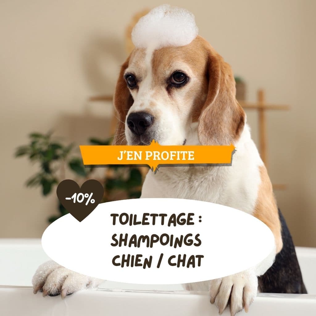 Toilettage :  shampoings  chien / chat