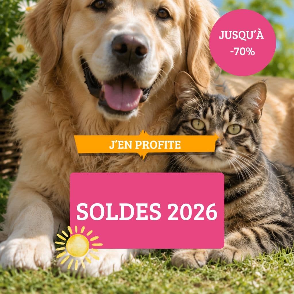 Soldes 2026
