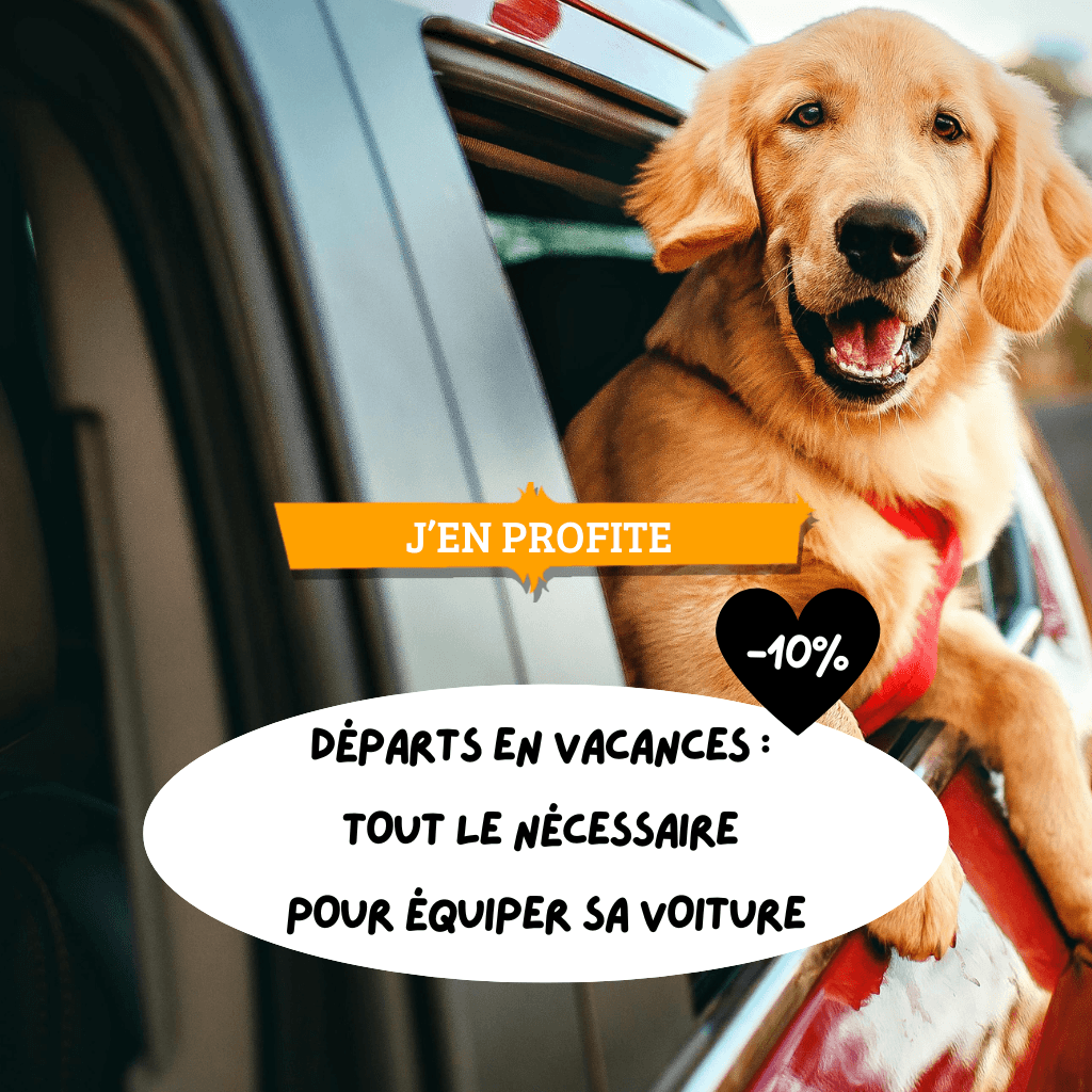 Départs en vacances : tout le nécessaire pour équiper sa voiture