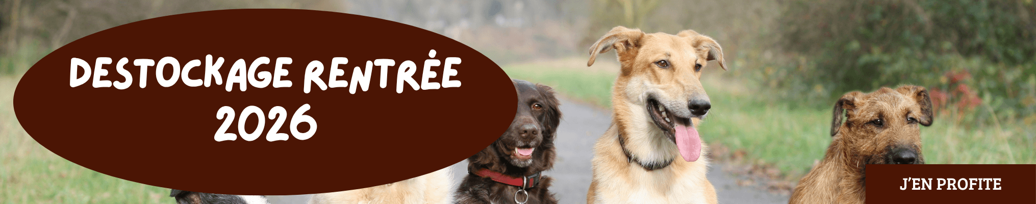https://www.lafermedesanimaux.com/destocking-20260831-1