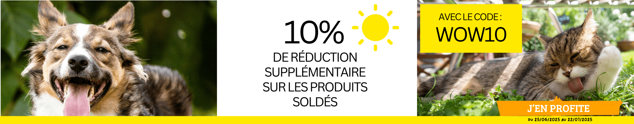 Soldes 2025