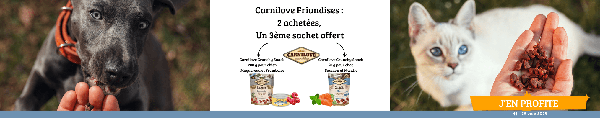 Carnilove 1