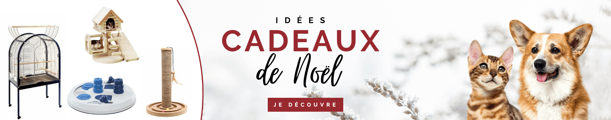 Noel 23 LFDA