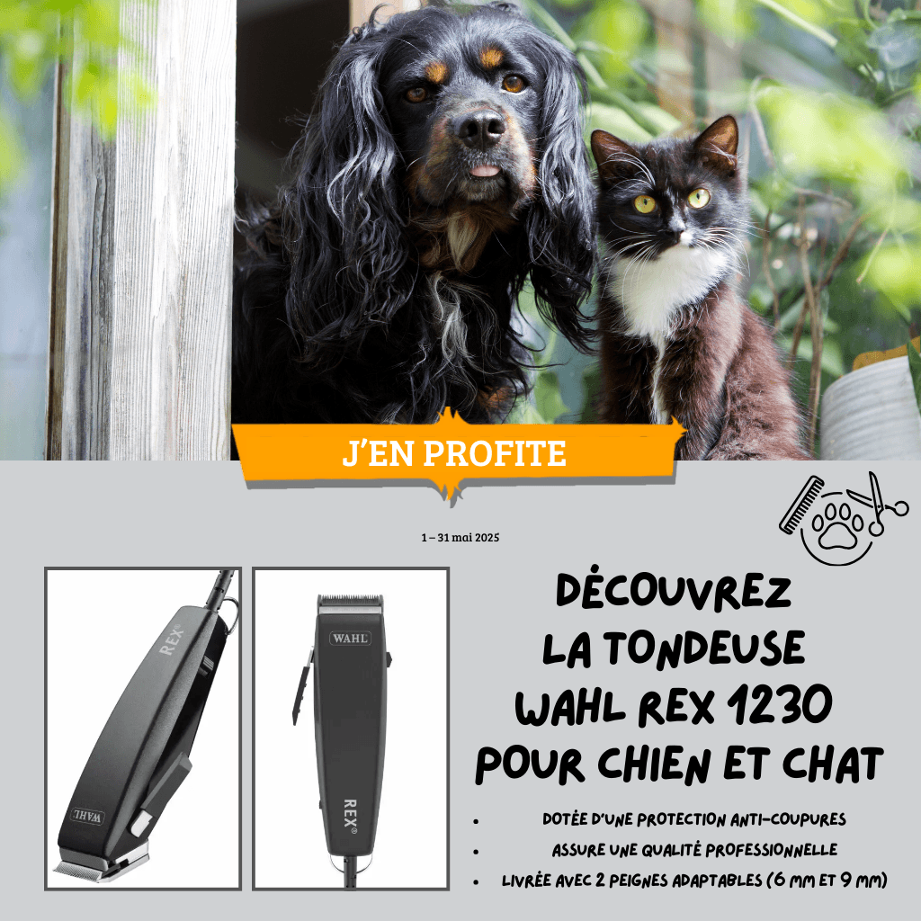 Tondeuse Wahl Rex 1230 pour chien et chat