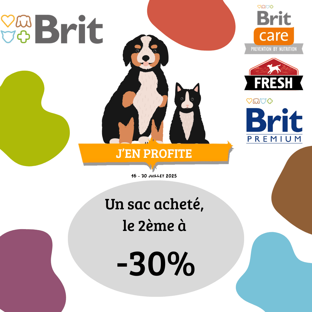 Brit juillet 2025
