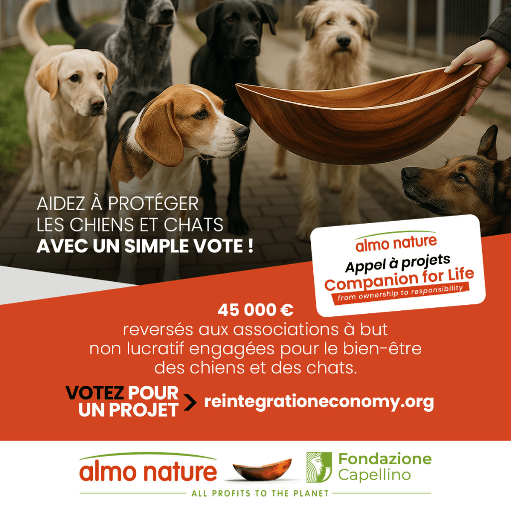 L'appel à projets « Companion For Life »