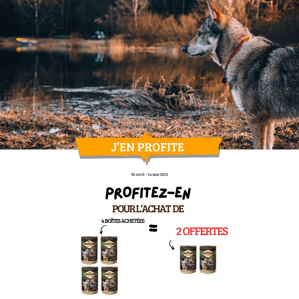 4 achetées, 2 offertes : Carnilove Wild Meat : chien adulte / chiot