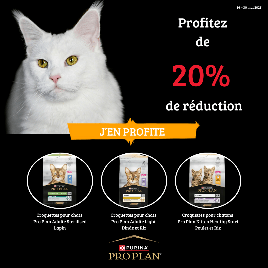 Pro Plan : Mai 2025 - 20% de réduction