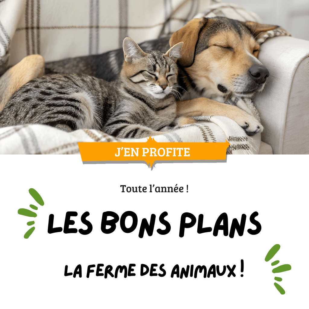 Bons plans