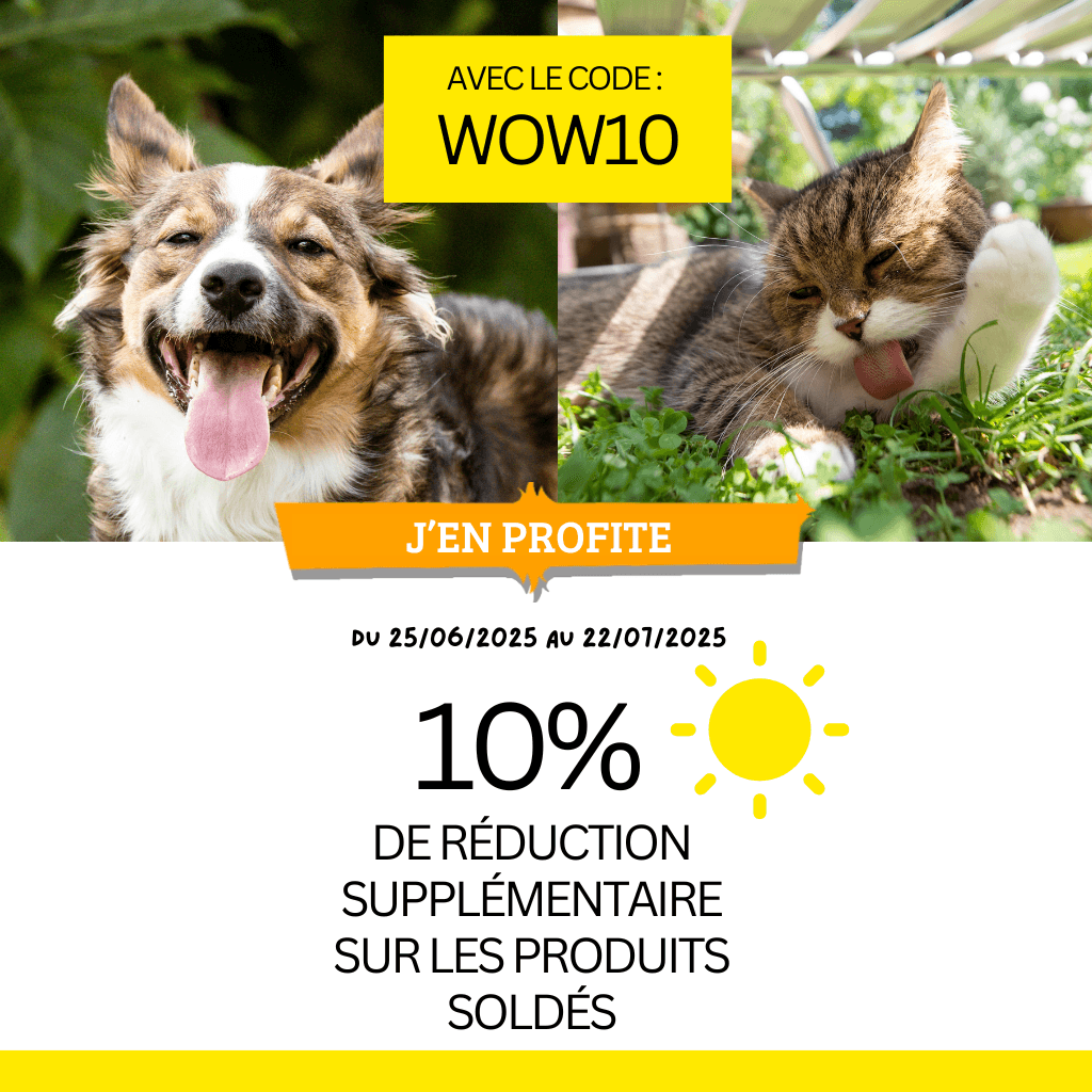 Soldes 2025