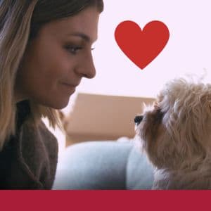 Vidéo de présentation 2026 : La Ferme Des Animaux