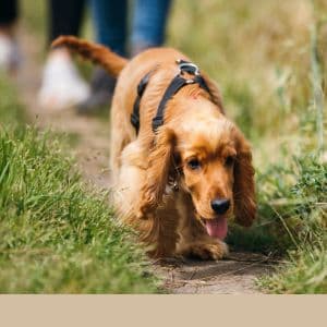 Selec Difac Janv 2024