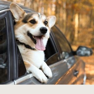 Stress dans le transport