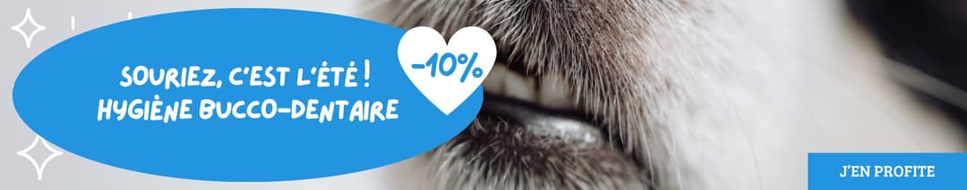 Souriez, c’est l’été ! Profitez de -10 % sur l’hygiène bucco-dentaire