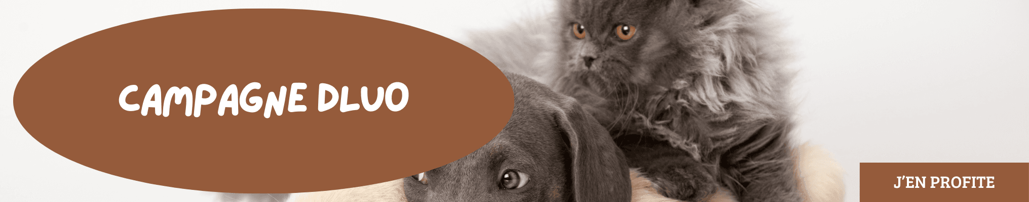 Campagne DLUO
