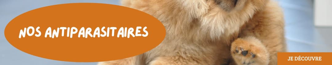 Découvrez notre sélection d’antiparasitaires pour chiens et chats