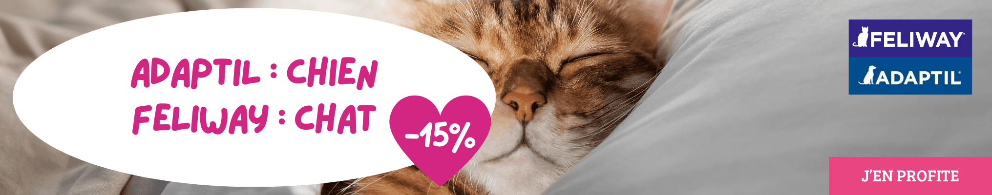 Une rentrée tout en sérénité avec ADAPTIL & FELIWAY