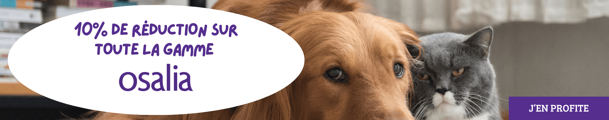 10% de réduction sur toute la gamme : OSALIA
