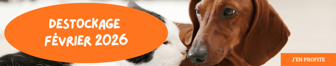 Bon Plan – Destockage Février 2026