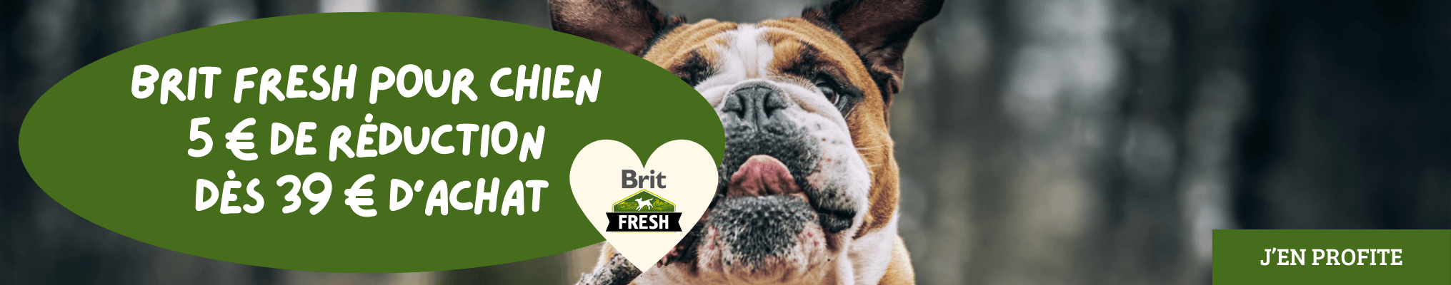 Brit Fresh pour chien : 5 € de réduction dès 39 € d’achat
