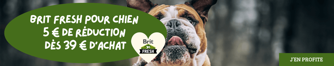 Brit Fresh pour chien : 5 € de réduction dès 39 € d’achat