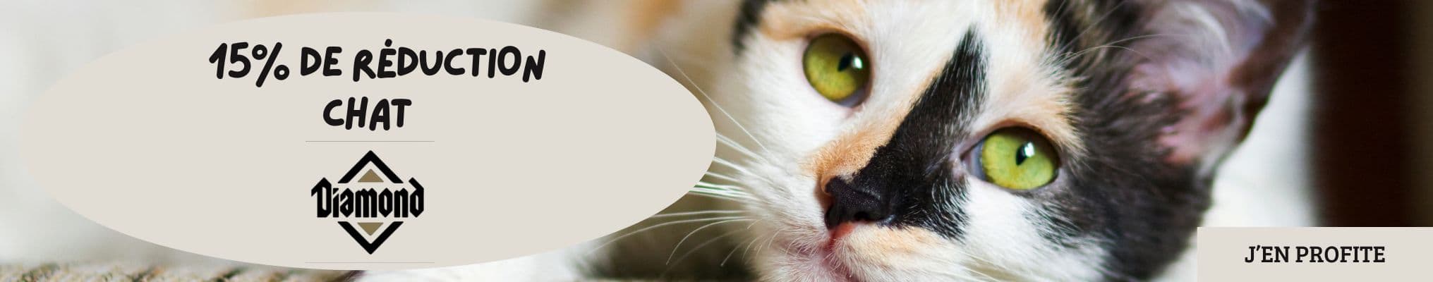 Diamonds Chat : -15% sur les croquettes pour chat