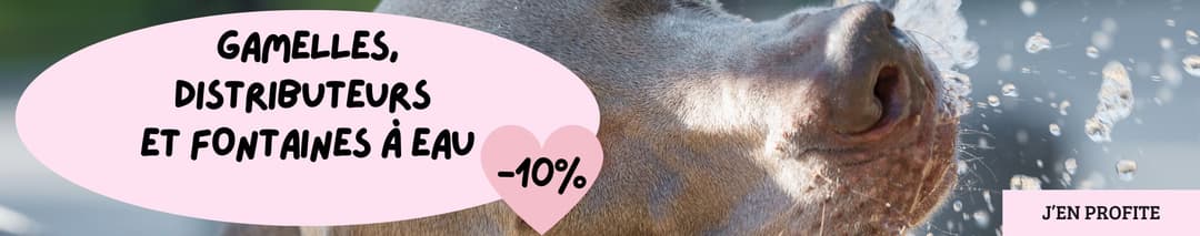 Gamelles, distributeurs et fontaines à eau : 10% de remise