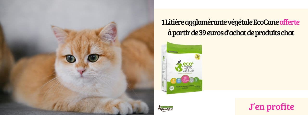 Une litière Ecocane offerte dès 39 euros d'achat !