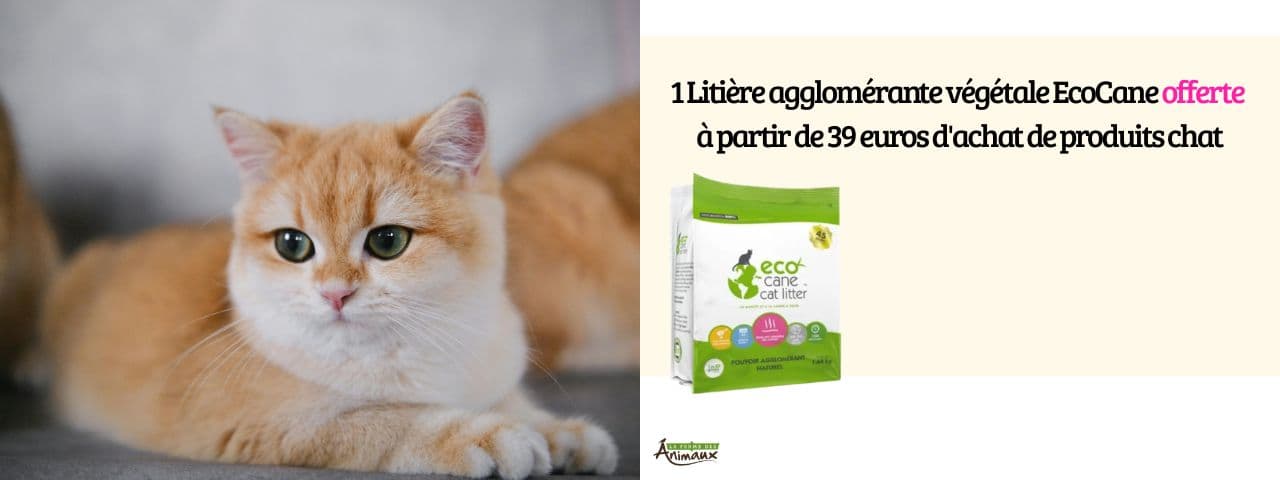 Une litière Ecocane offerte dès 39 euros d'achat !
