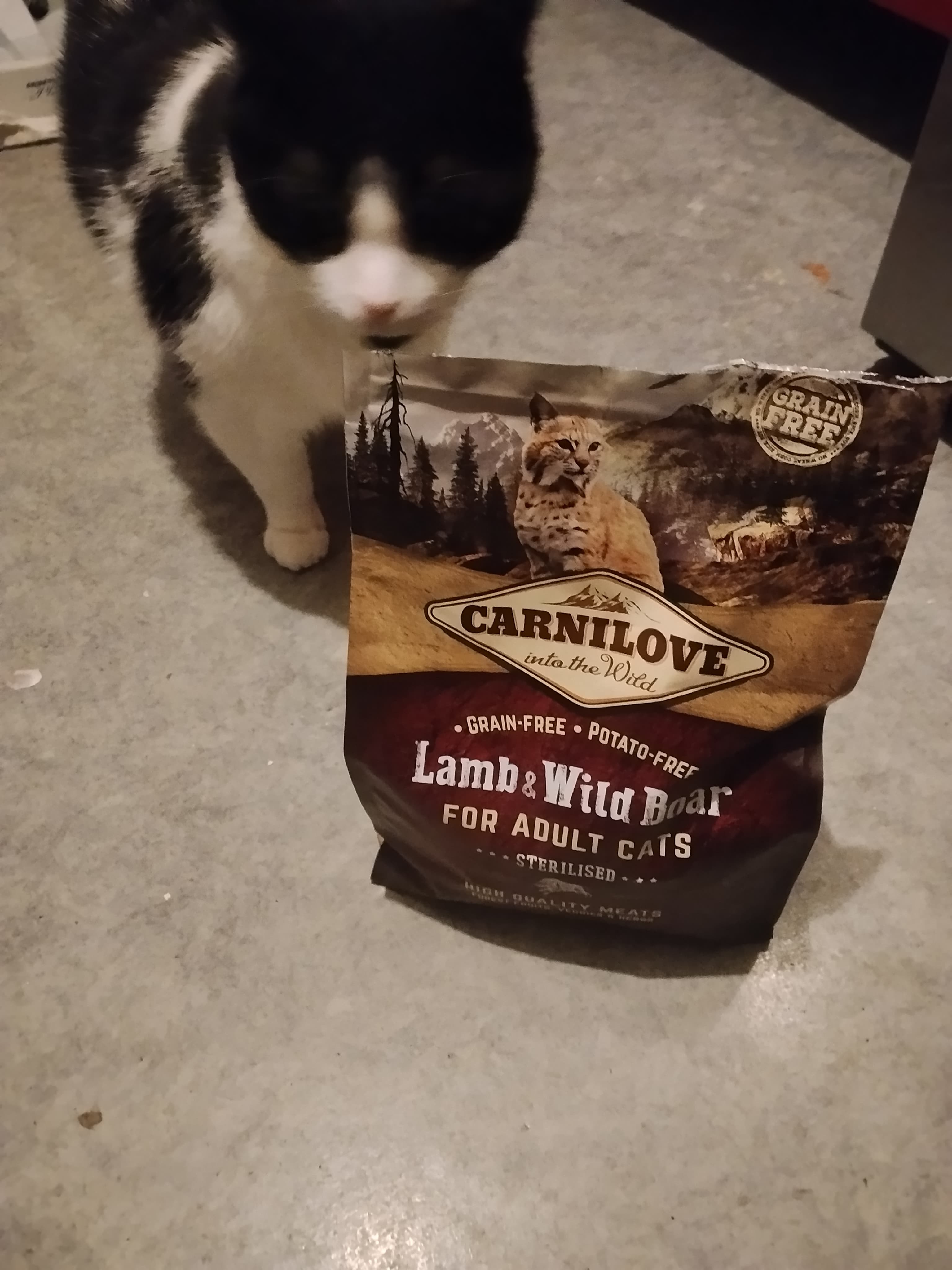 Croquette chat Carnilove sanglier et agneau