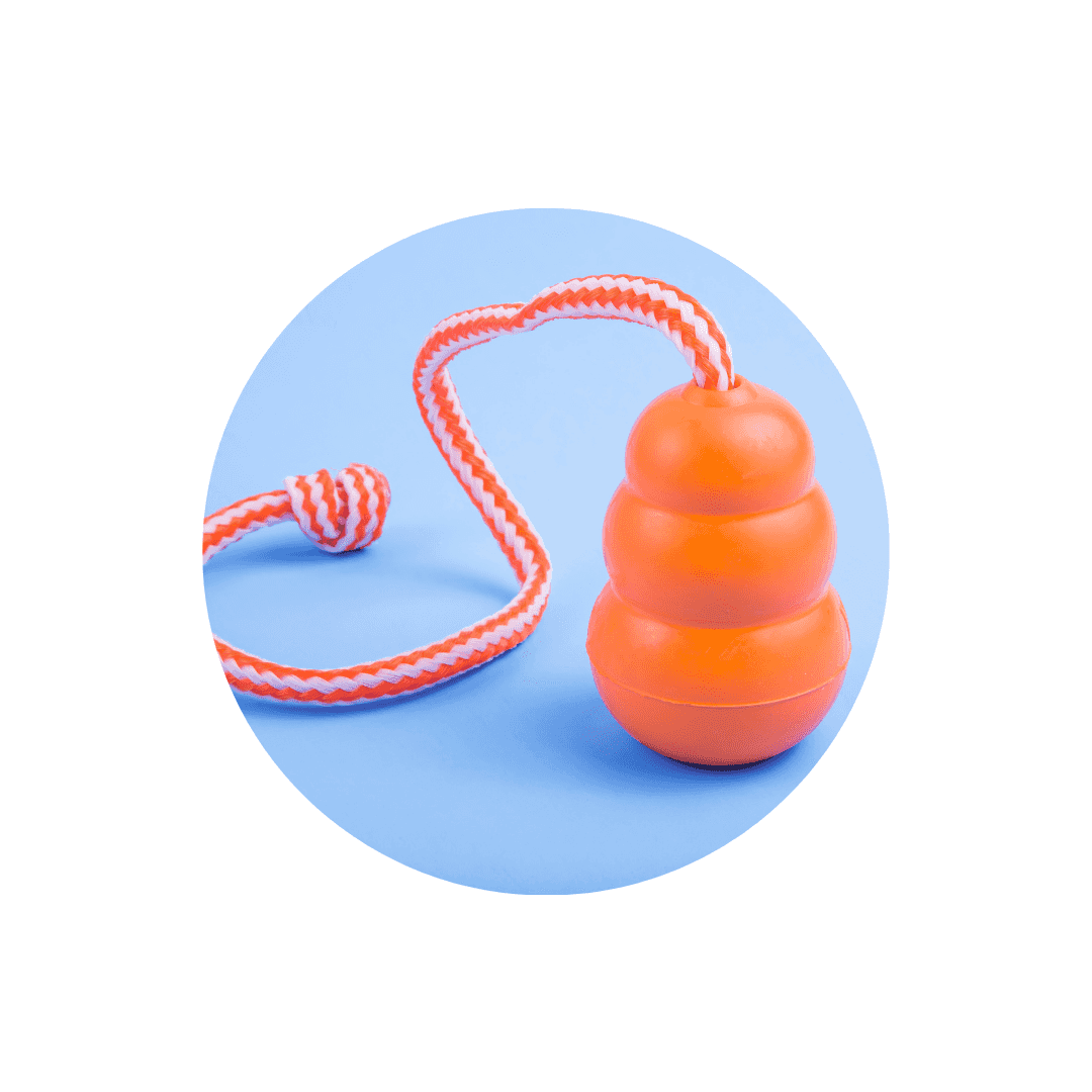 Jouets à garnir pour chien