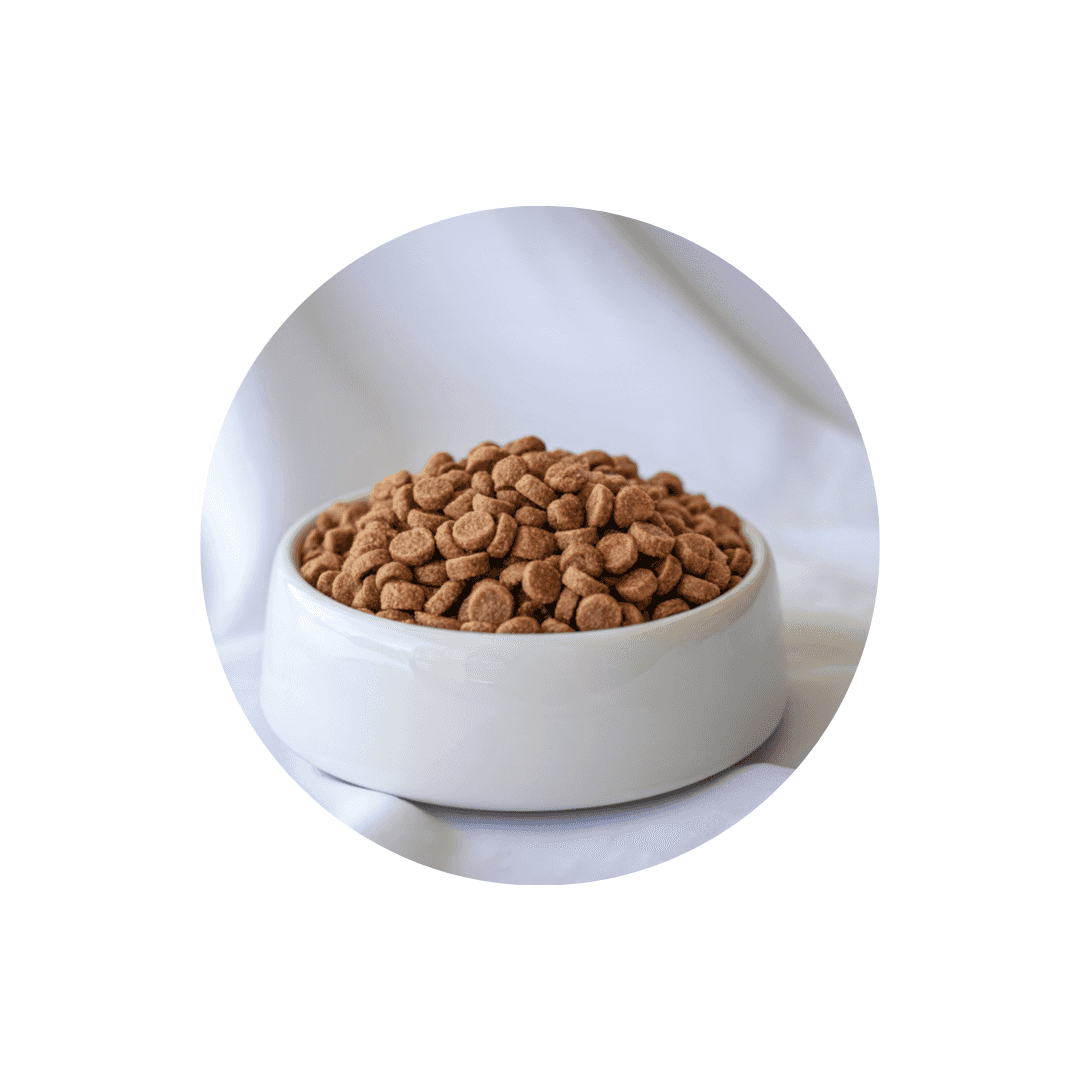 Croquettes vétérinaires pour chat