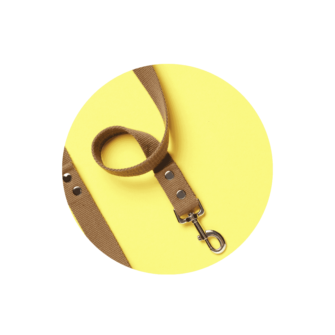 Laisses de dressage et longes