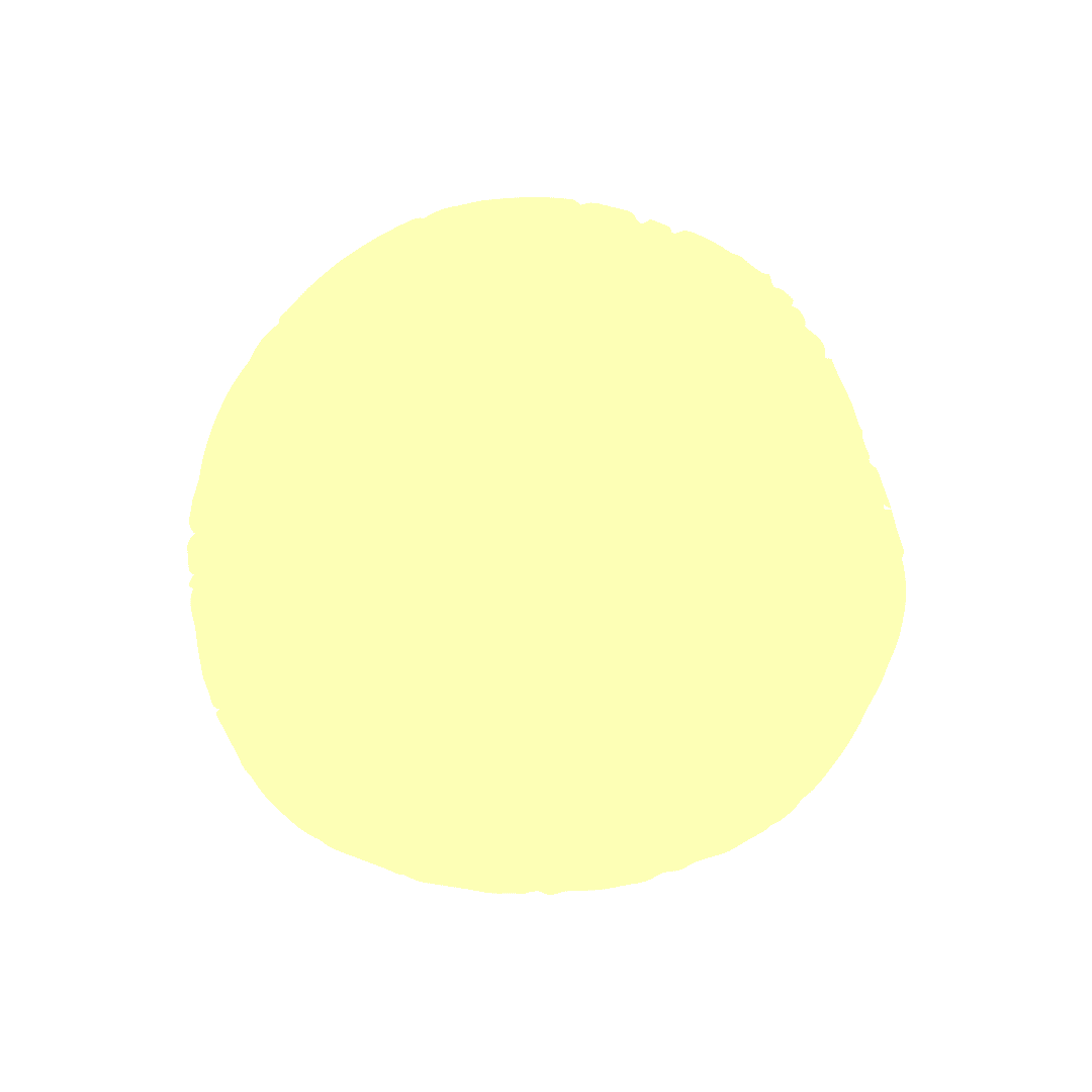 Nourriture pour chat