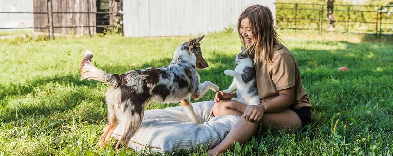 Acana chien et chat
