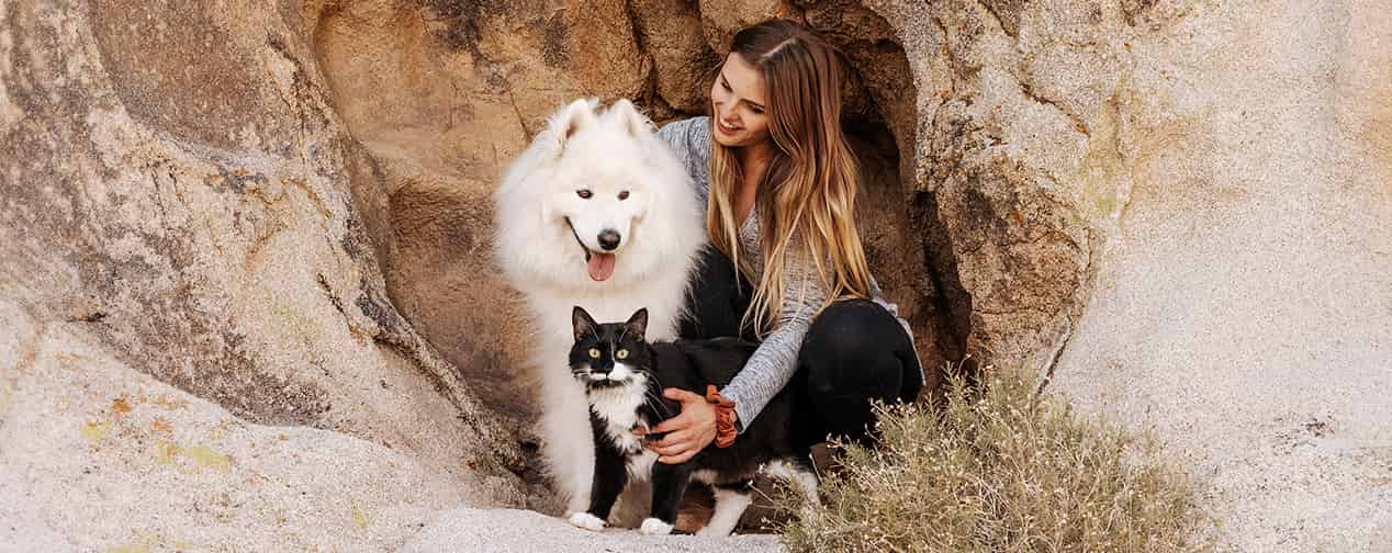 Orijen chien et chat