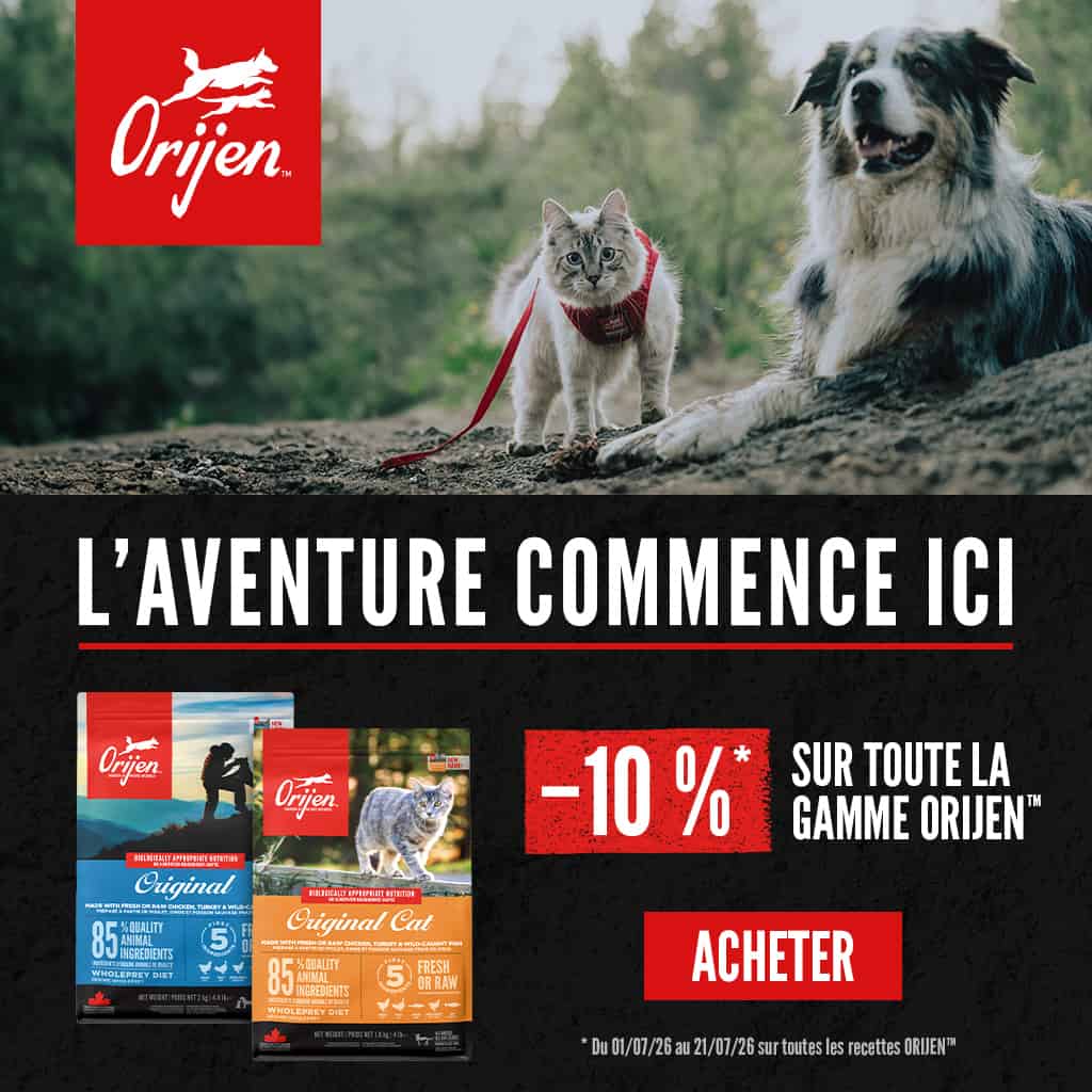 Bons plans