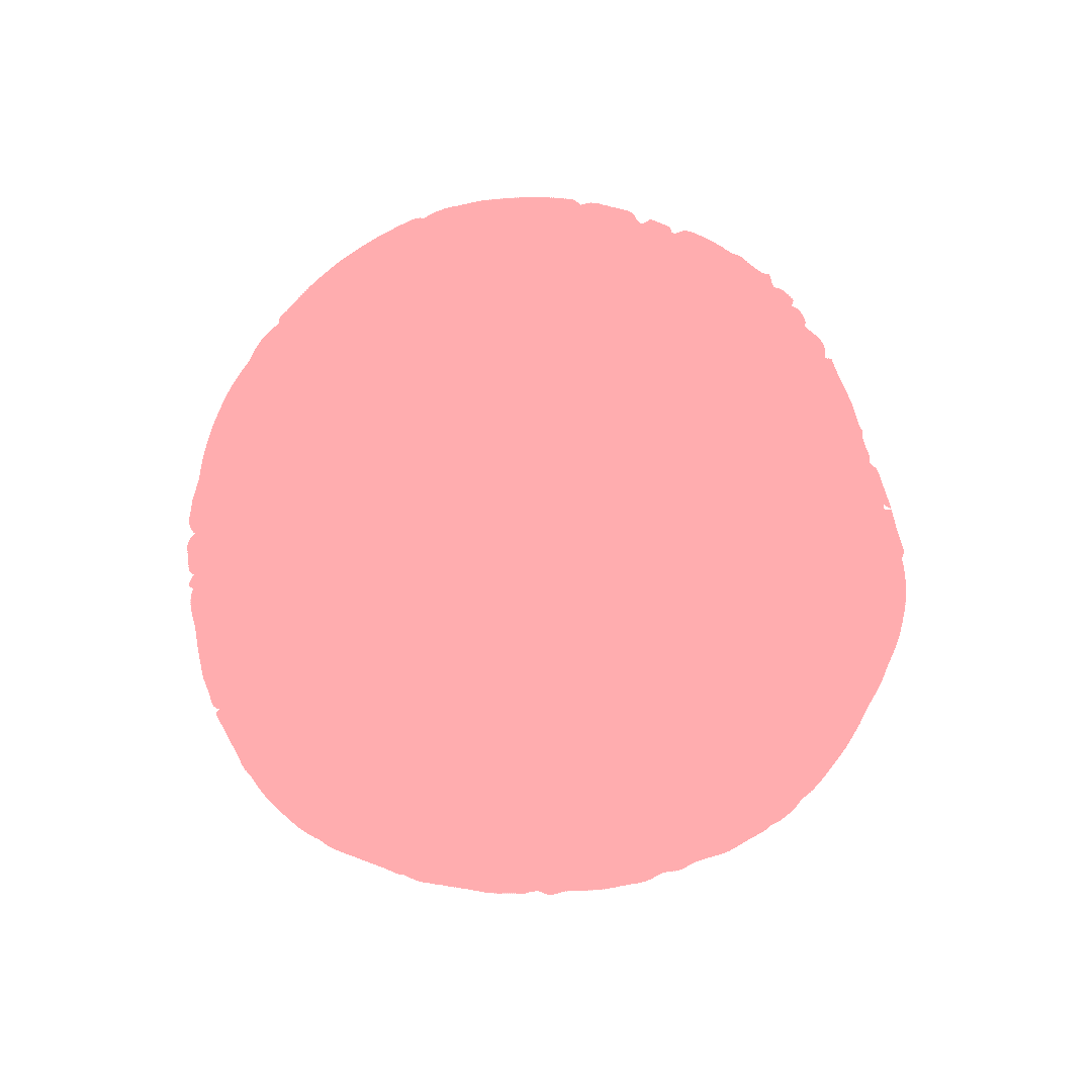 Toilettage et hygiène du chat